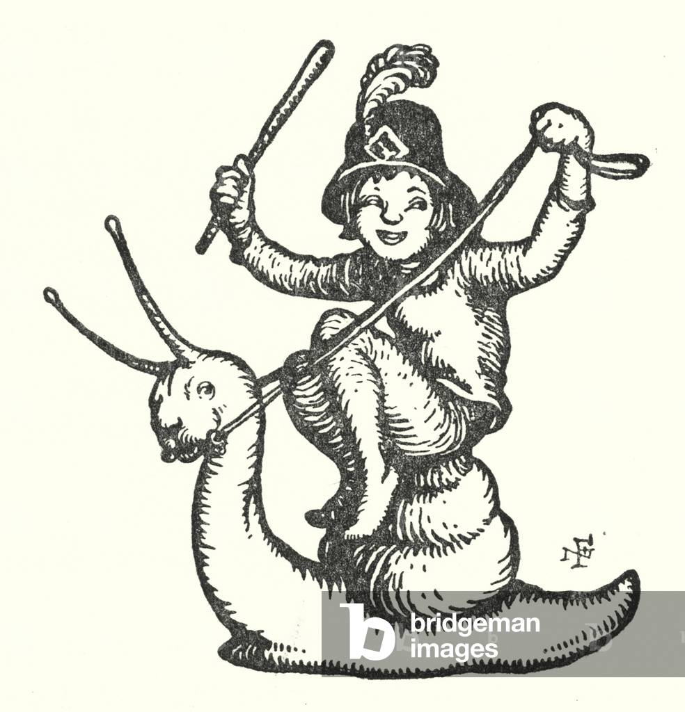 Pollice del Tom (lito)