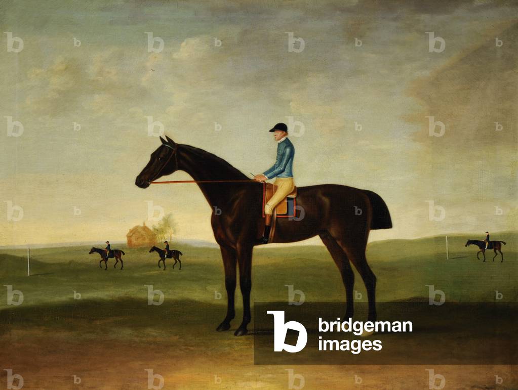 'Trentham' una baia Cavallo da corsa