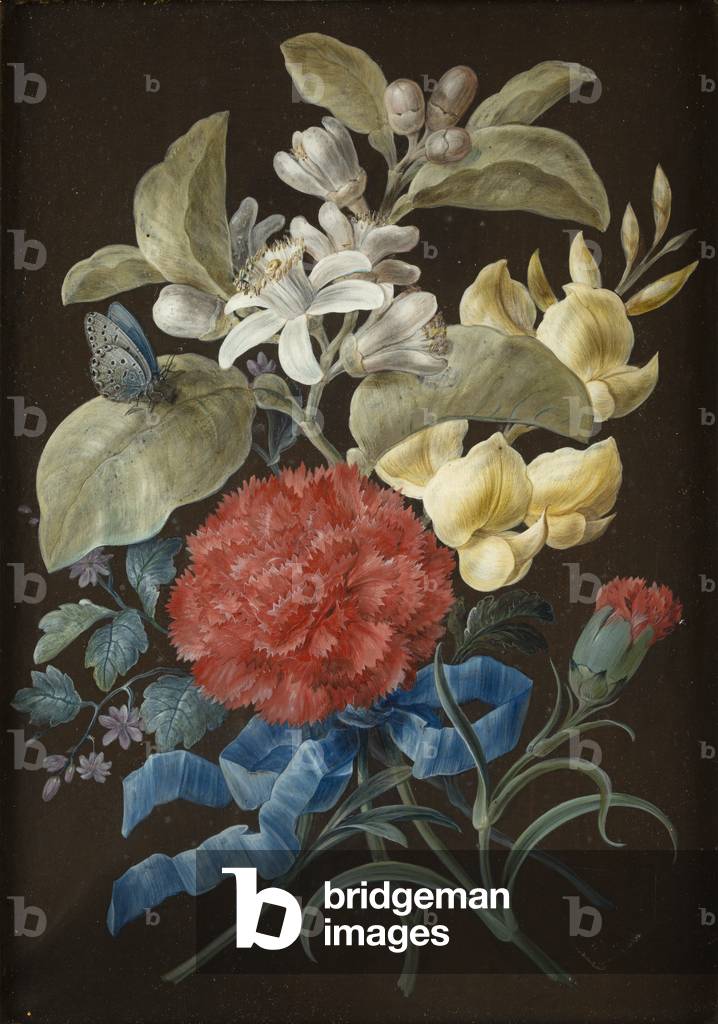 "Set von vier Stillleben mit Schmetterlingen (Gouache auf Papier auf Tafel gelegt)" von Barbara Regina Dietzsc