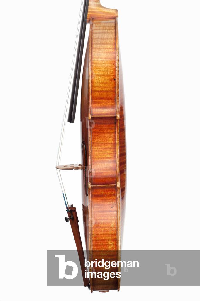 Image de Instruments de musique représentant « Viotti ex-Bruce » 1709 par Antonio Stradivari
