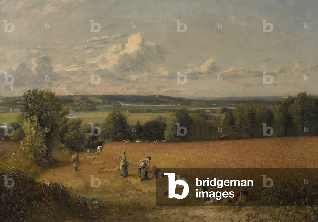 Il campo di grano, 1816 (olio su tela)