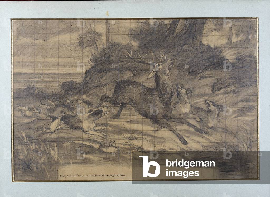 Deer attack by dogs (circa 1862)