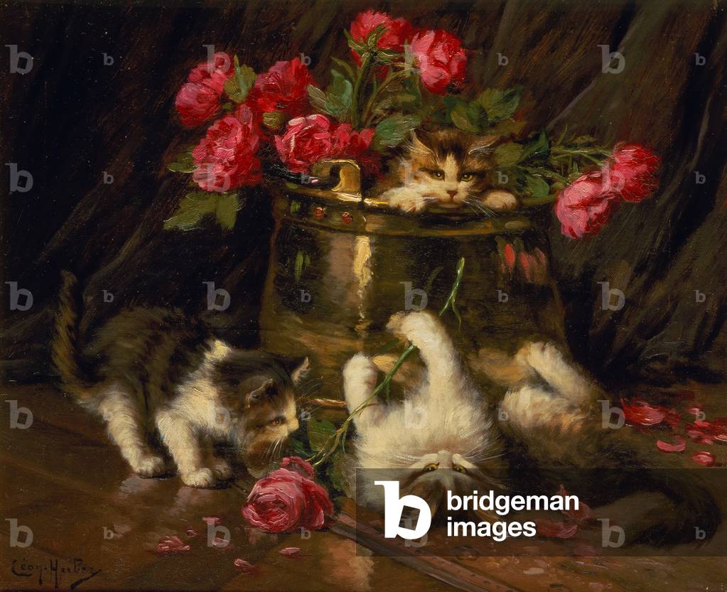 Gattini giocosi (olio su tela)