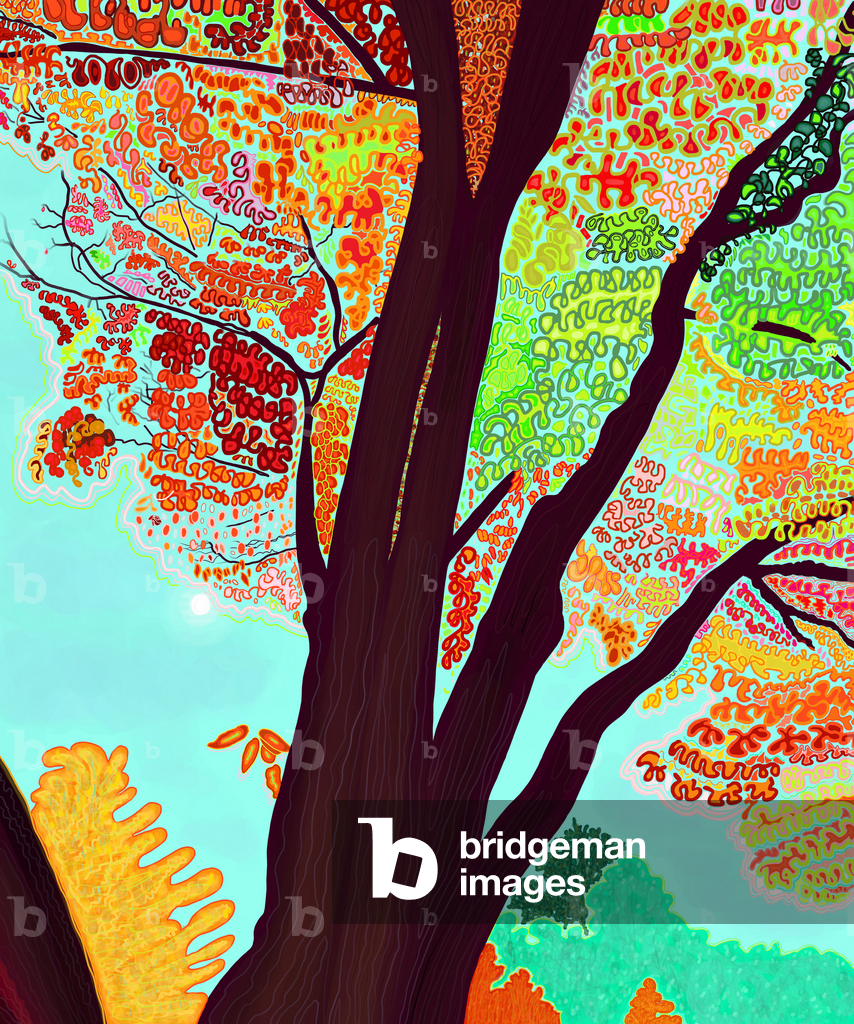 L'ultimo albero autunnale, 2018 (disegnato a mano su un iPad con una matita Apple)