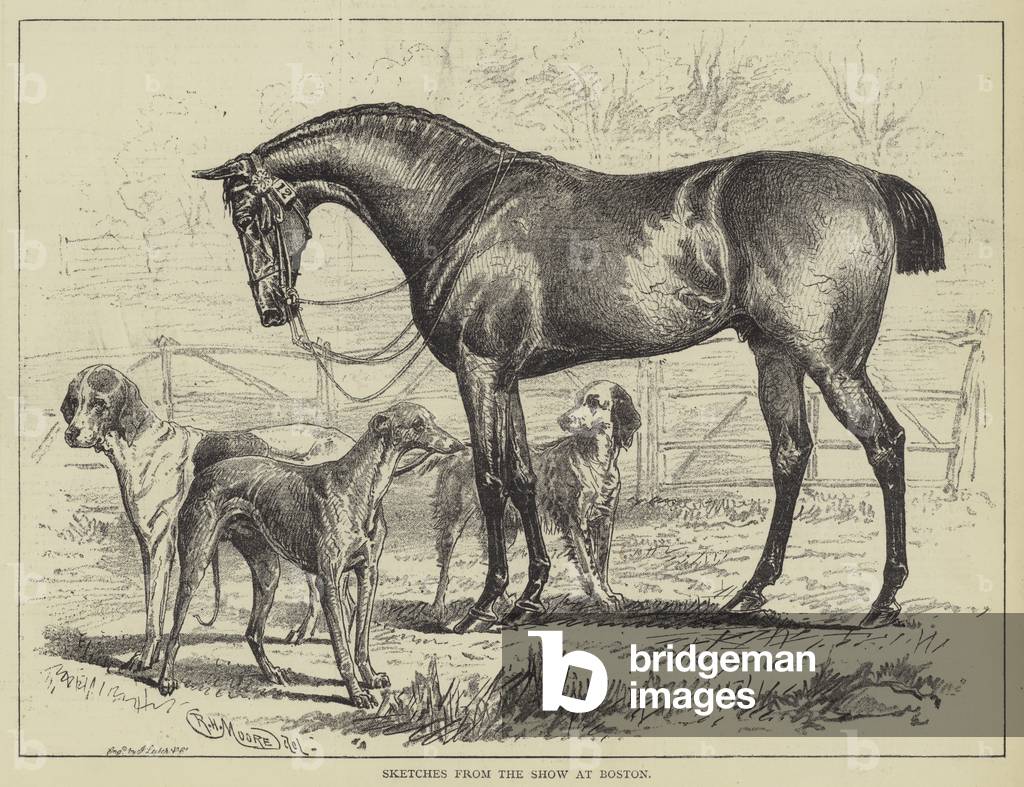 schizzi dal mostra a Boston (incisione)