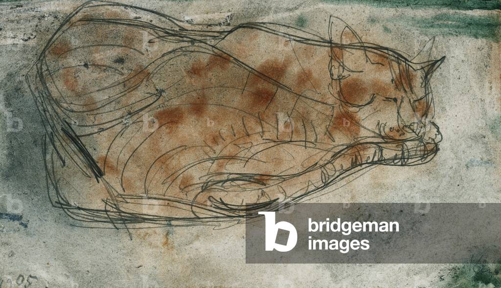 Gatto addormentato; Schlafende Katze, 1905 (acquerello su matita e carta)