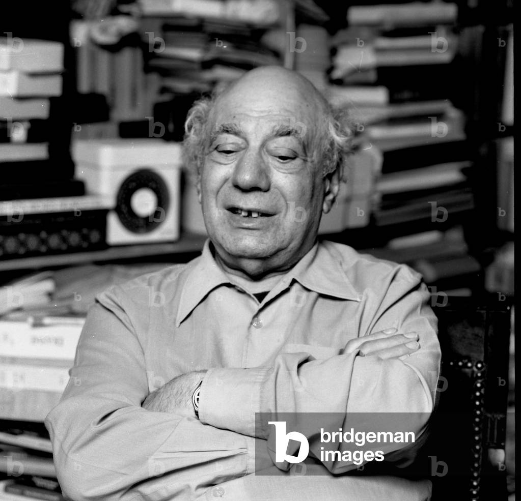 Bild von Fotografie "Maxime Robinson" von Louis Monier