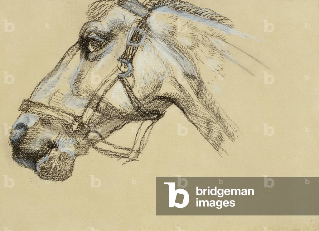 "Head of Success II", 1983 di Lucian Freud