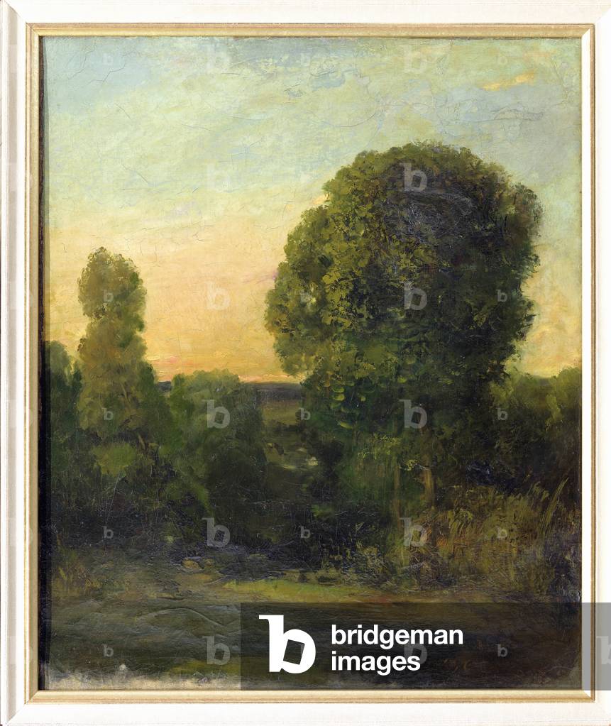 Immagine di Dipinto "L'albero di Saintonge (1862)" di Gustave Courbet