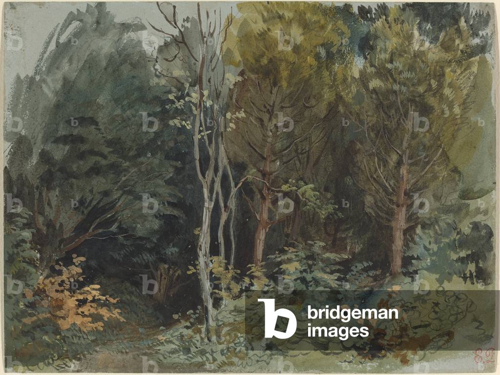 Il bordo di un bosco a Nohant, 1842-1843 ca. (w/c)