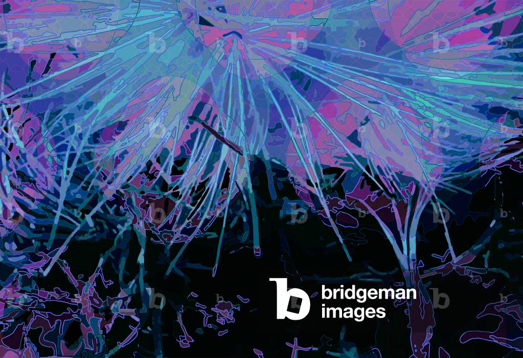 Artichoke_abst_horz1, 2020 (digitale)