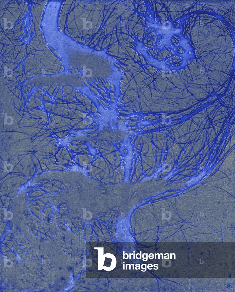 Das verschränkte Selbst 11, 2013 (Radierung)