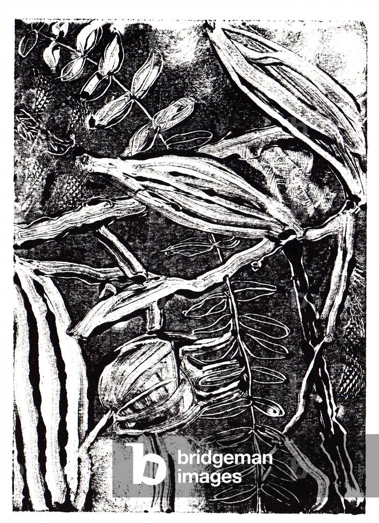 Inky Plants, 2019 (Monoprint)