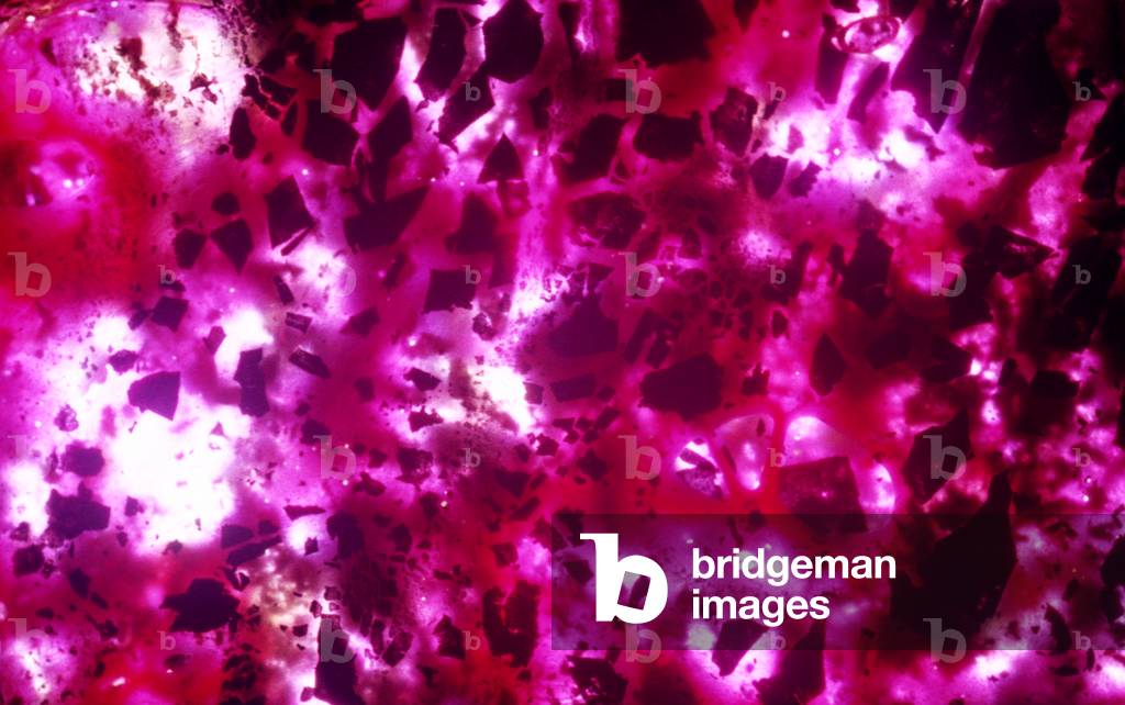 Hot Pink, 2019 (négatif)