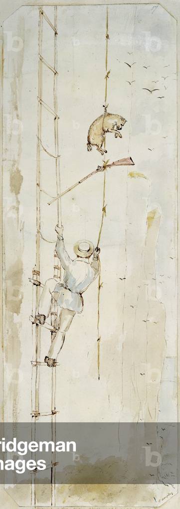 Image of Descent (or ascent ?) of the Miko cliff. Thomas Brunner