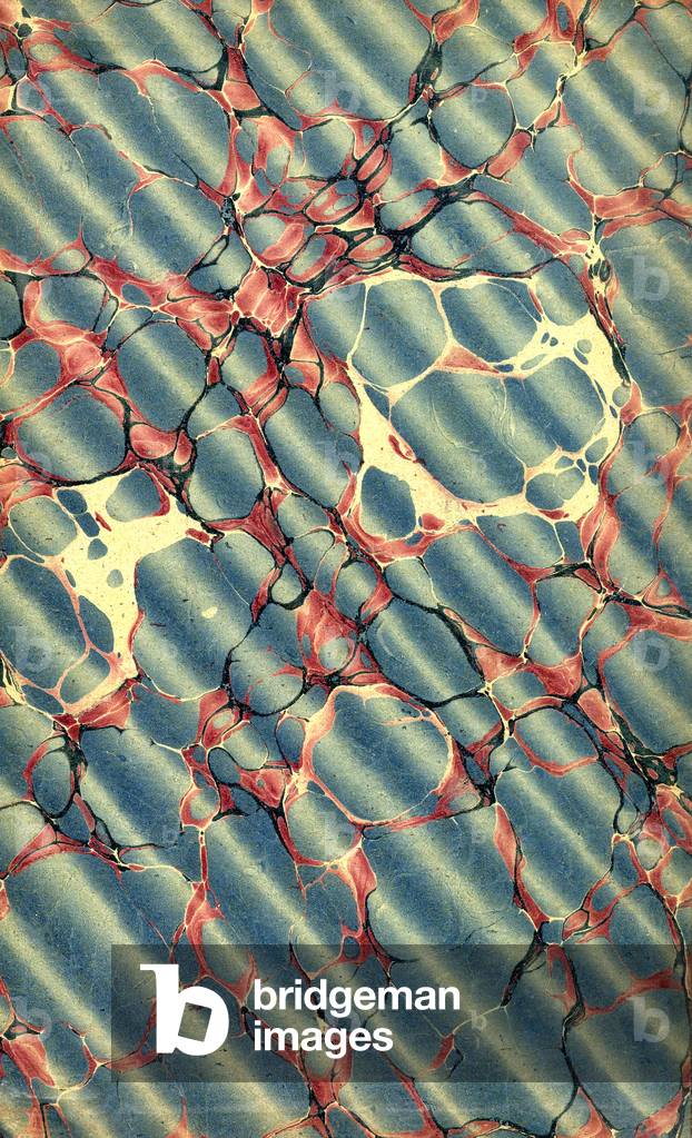 Carta di chiusura decorativa da un libro ottocentesco