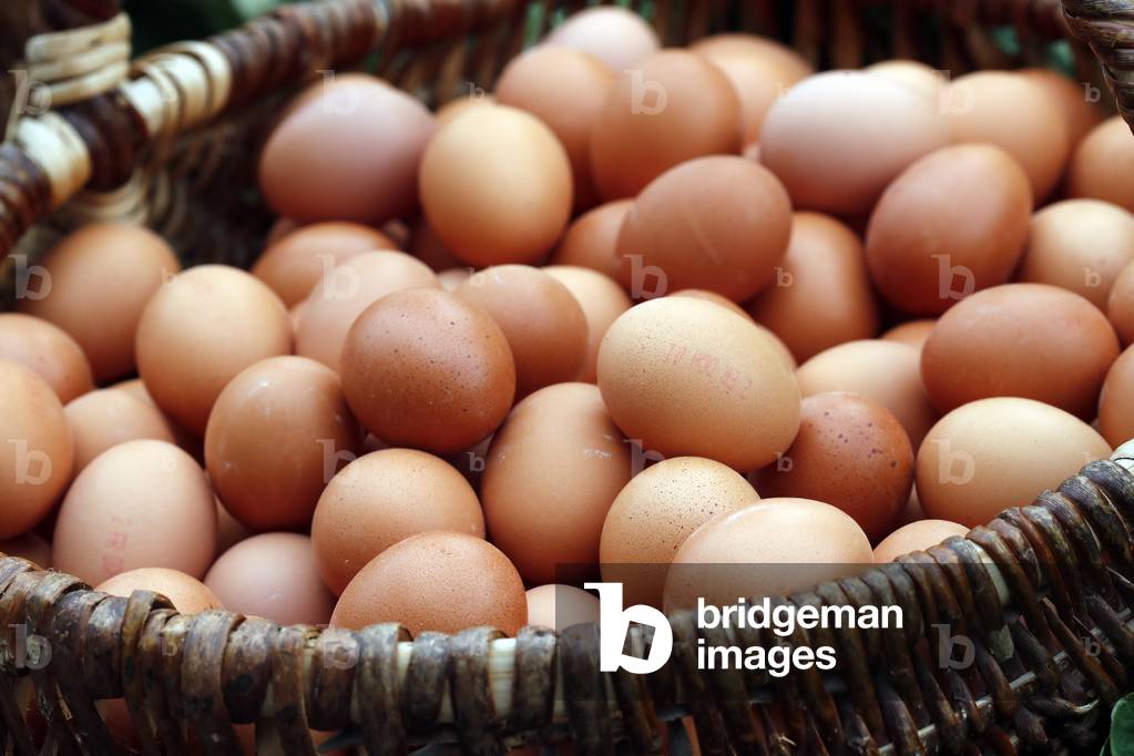 "Uova biologiche in vendita al mercato" 2019