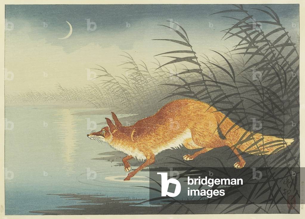 Fox by the Moonlit Water by Ohara Koson