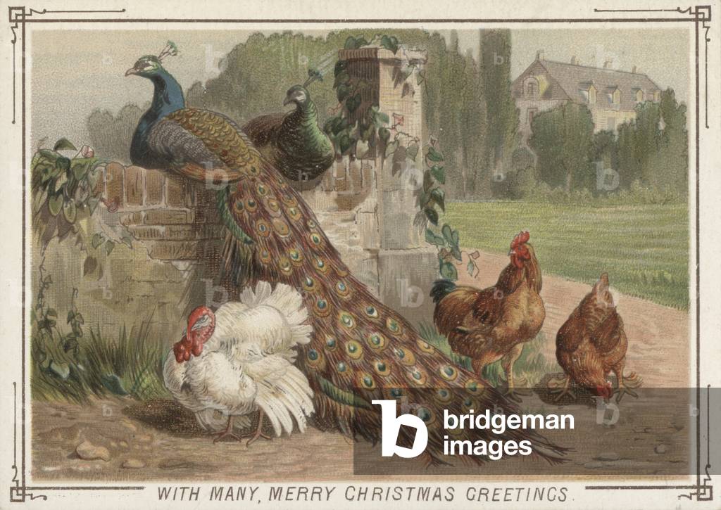 Weihnachtskarte (Farbe Litho)