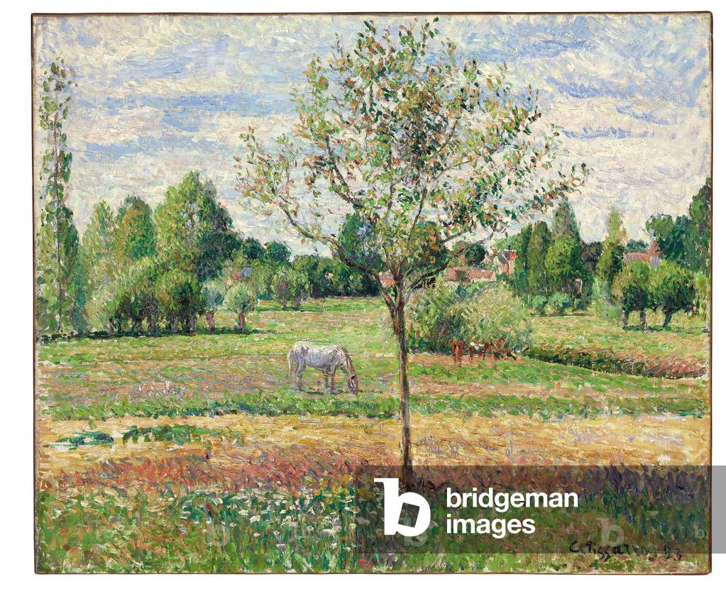 Bild von Gemälde "Wiese mit grauem Pferd", 1893 von Camille Pissarro