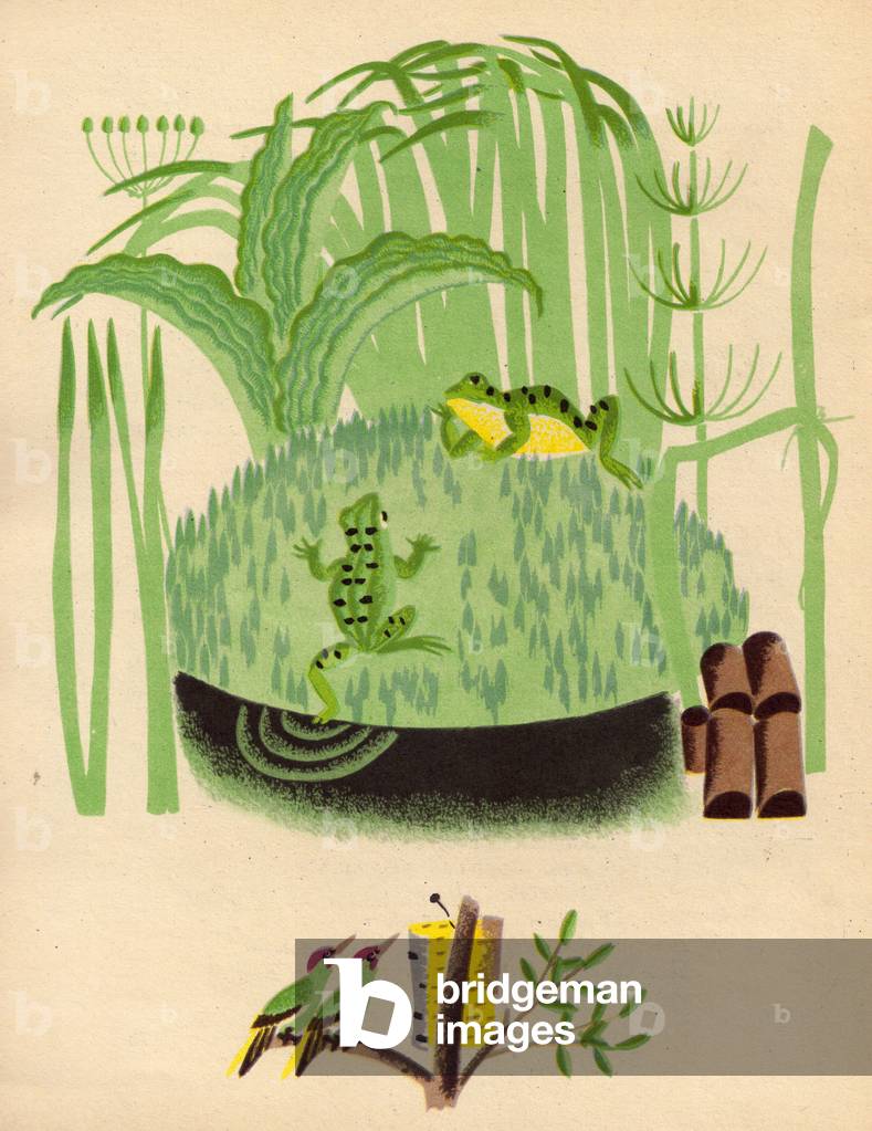 Image of Print depicting Illustration from 'The Cabbage Leaf' by Elena Bekhlerova 1972 by Marina Uspenskaya