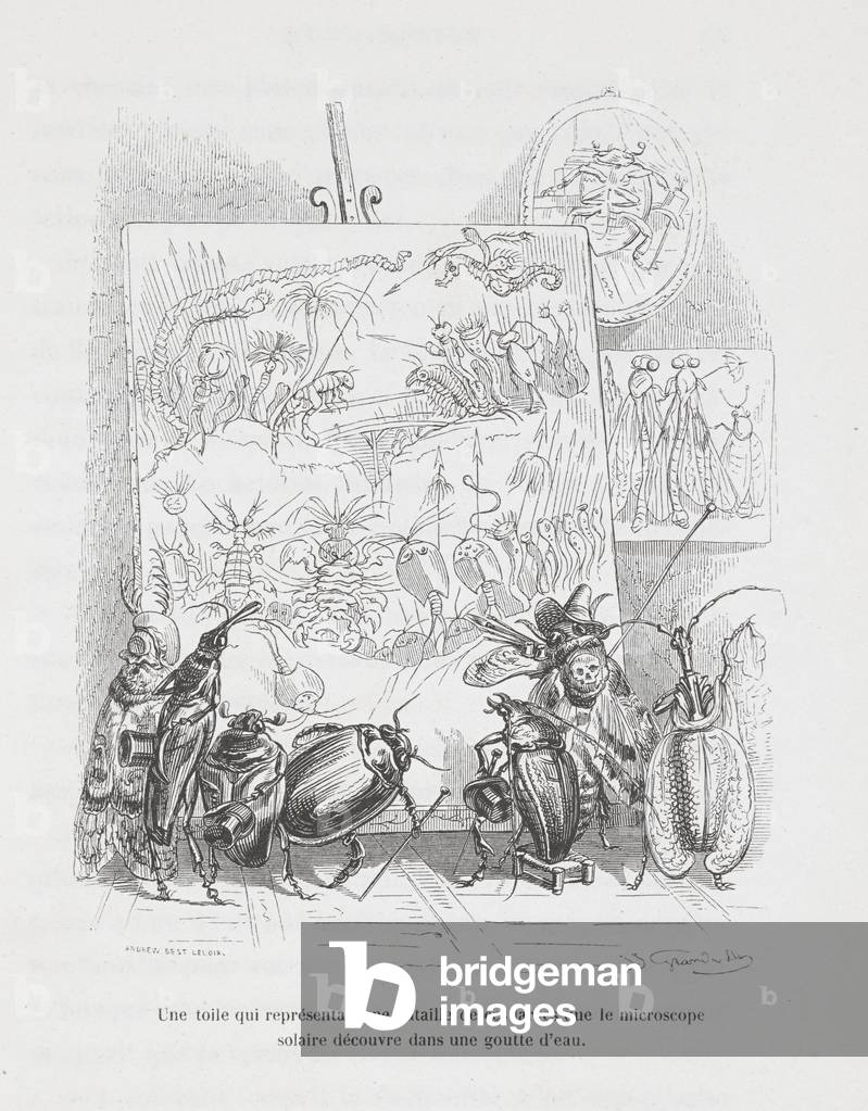 Une toile qui representait une bataille de ces larves que le microscope solaire decouvre dans une goutte d'eau