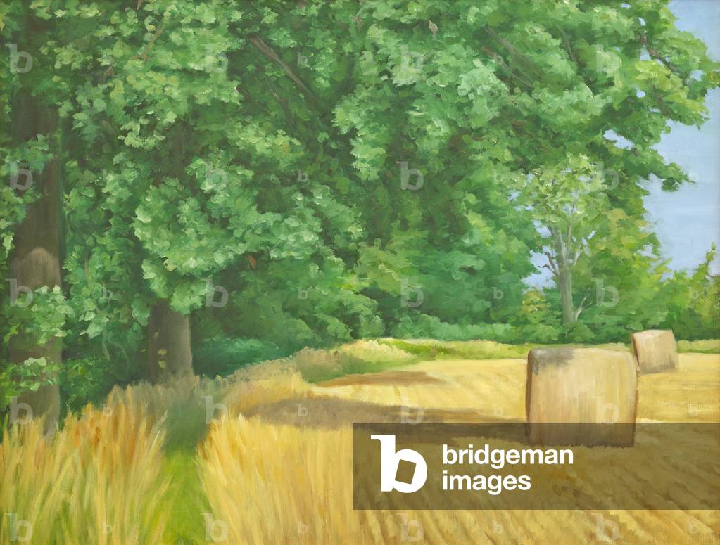 campo bordo vicino a iford, 2010 (olio su tela)