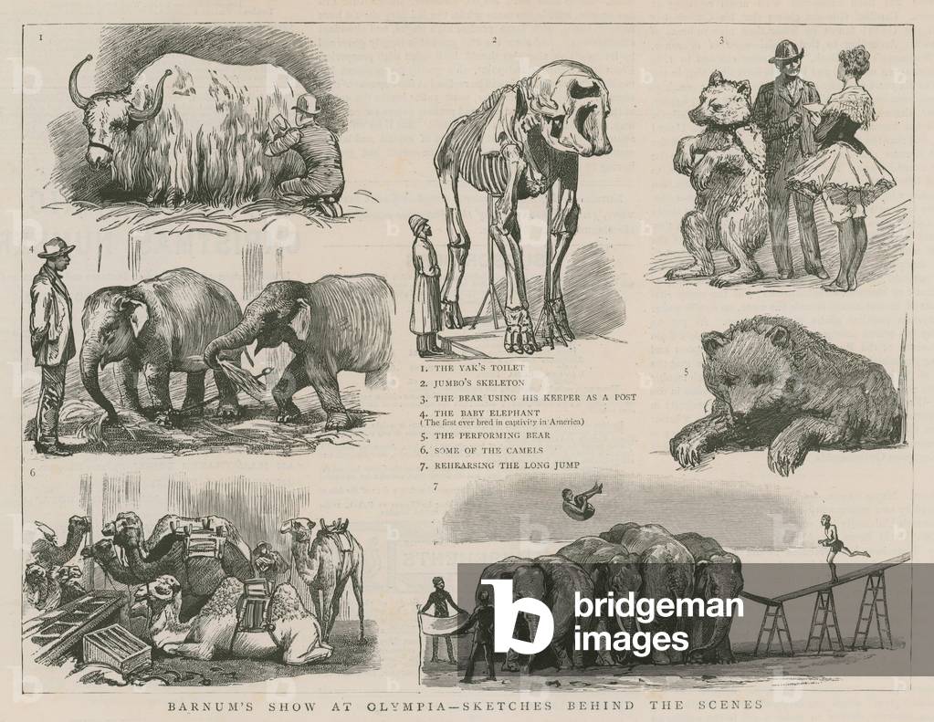 "Spettacolo di Barnum a Olympia - schizzi dietro le quinte (incisione)" di English School