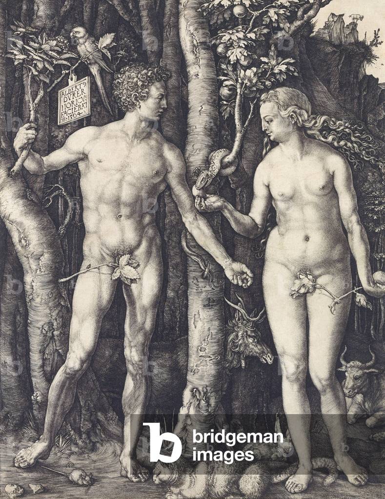 Der Fall des Mannes von Albrecht Durer, 1504 (s/w Gravur)