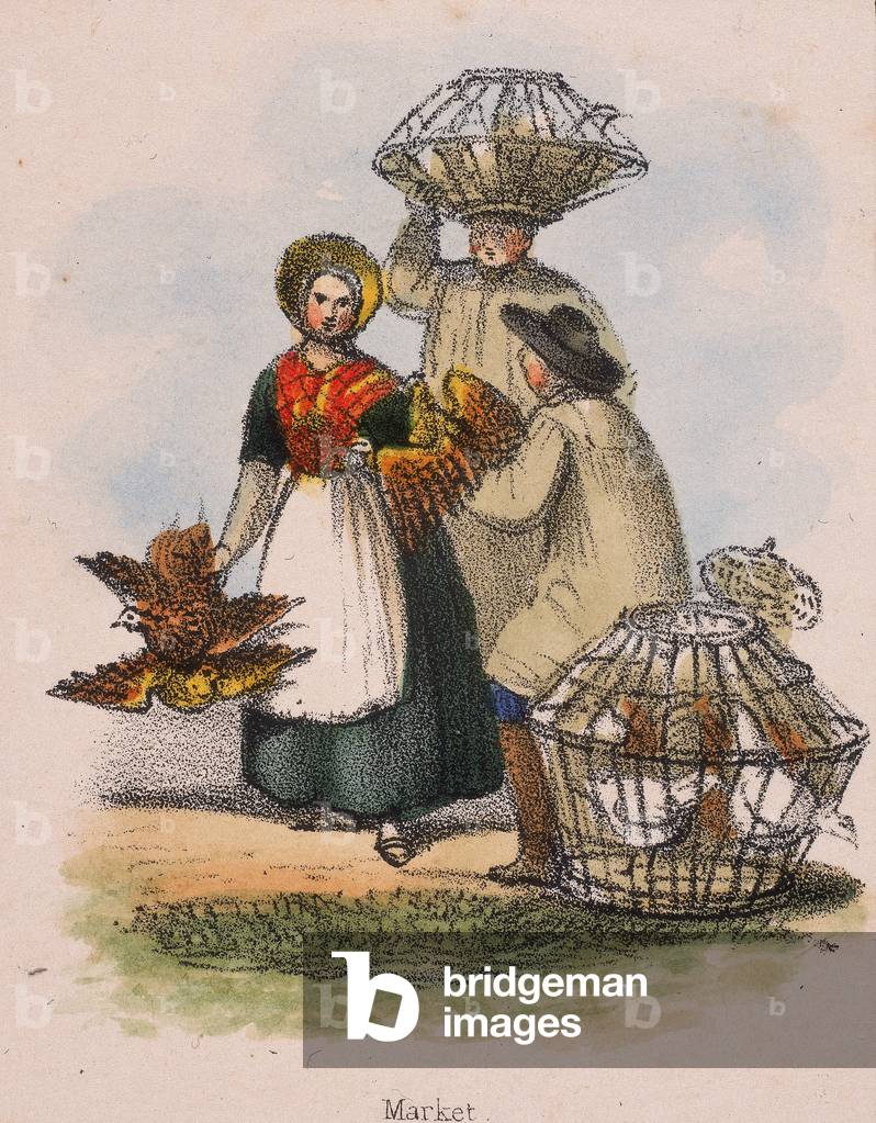 Geflügel wird in Weidenkörben zum Markt gebracht. Aus Graphic Illustrations of Animals and Their Utility to Ma