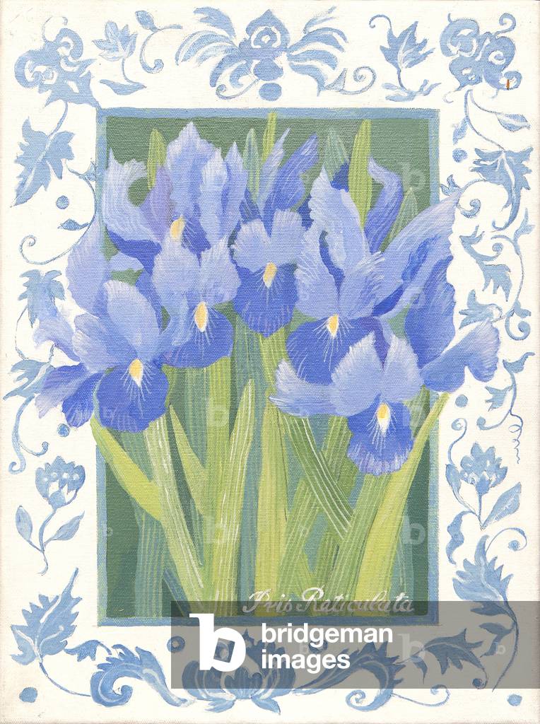 Image of Painting depicting Blue Iris (acrylic) by Jennifer Abbott