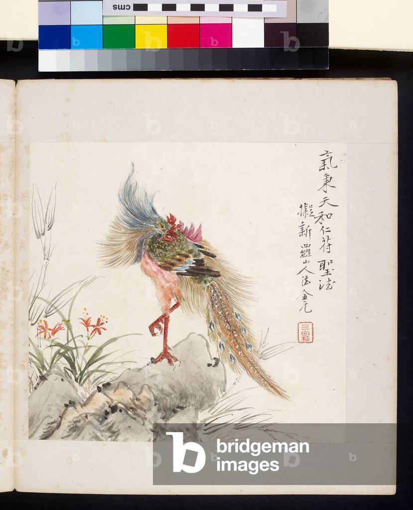 Album di uccelli e fiori, 1857