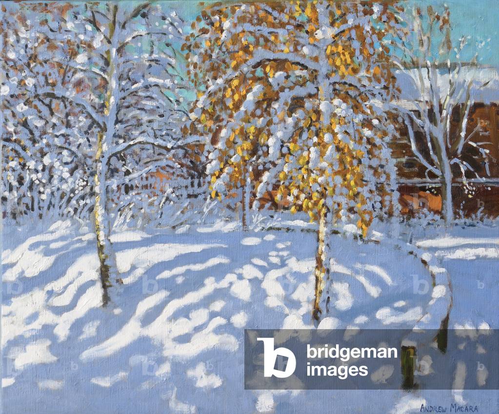 Foglie dorate in inverno, Normanton, Derby, 2019 (olio su tela)