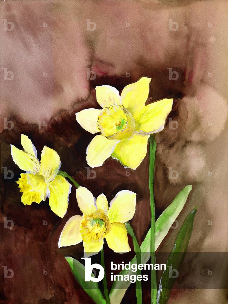Image of Drawing depicting golden daffodils, 2002 by Neela Pushparaj