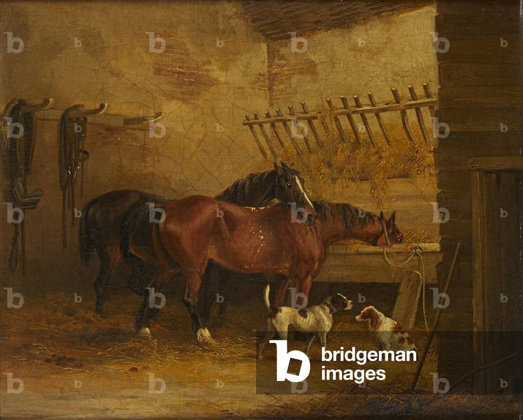 Bild von Gemälde "Pferde und Hunde in einem stabilen Interieur (Öl auf Leinwand)" von John Frederick Jr. Herri
