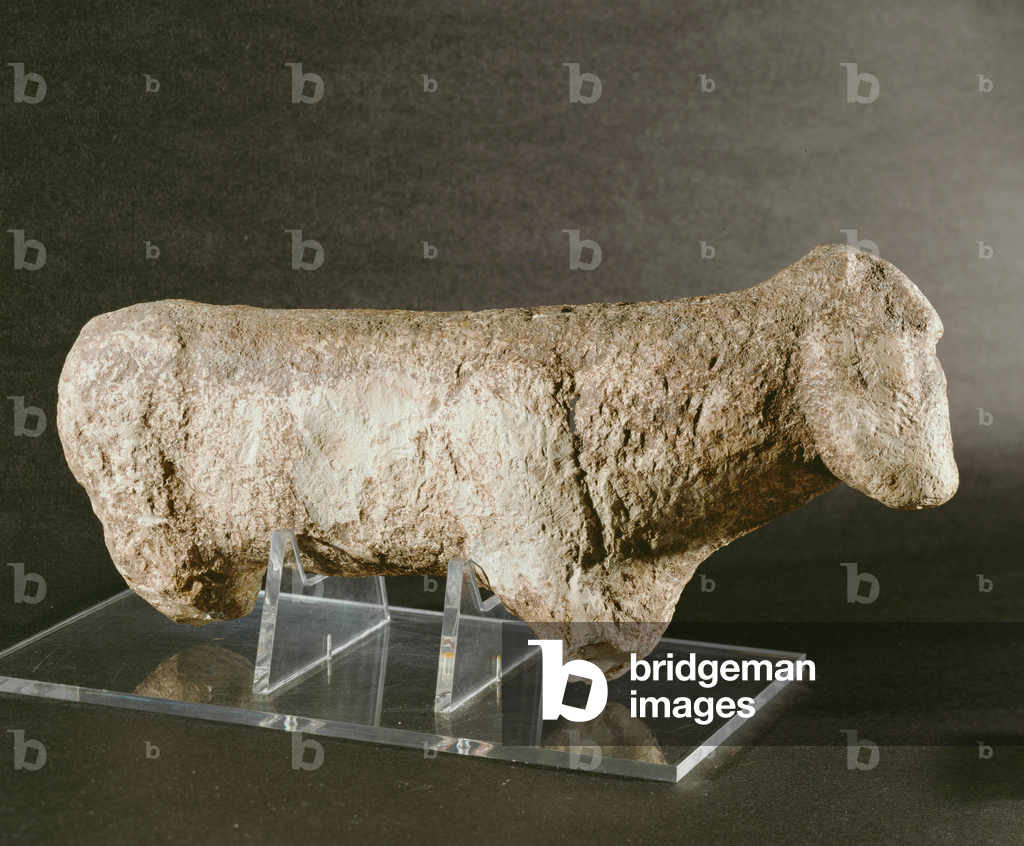 Ram, limestone (limestone)