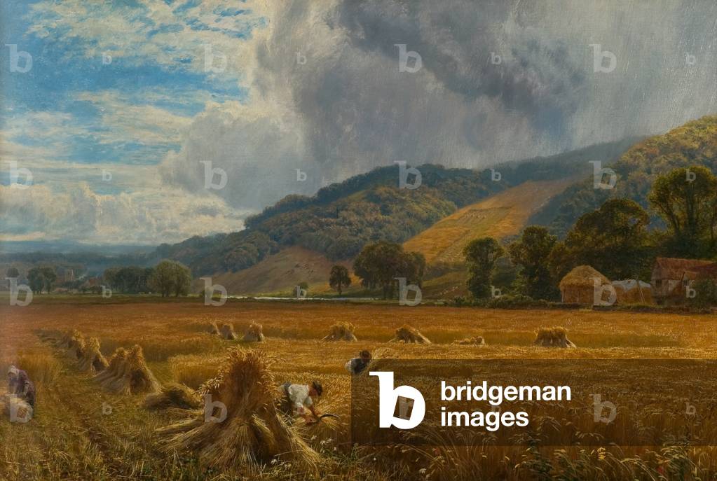 Bild von Druck "Ernte im Themse-Tal" 1888 von George Vicat Cole