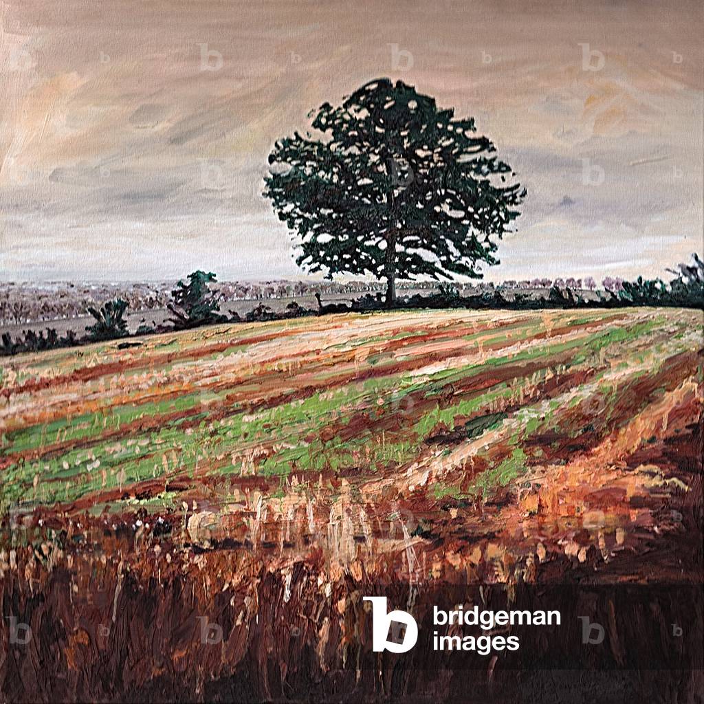 Image of Painting depicting Late Afternoon field 2009 by Helen White