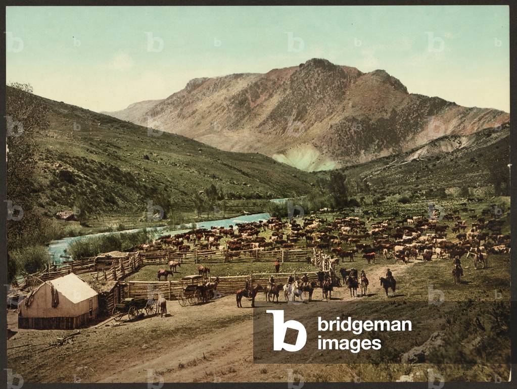 Image de Photographie représentant Vers 1898 - Colorado. « Rassemblez » sur le Cimarron. (photochrome) 1898