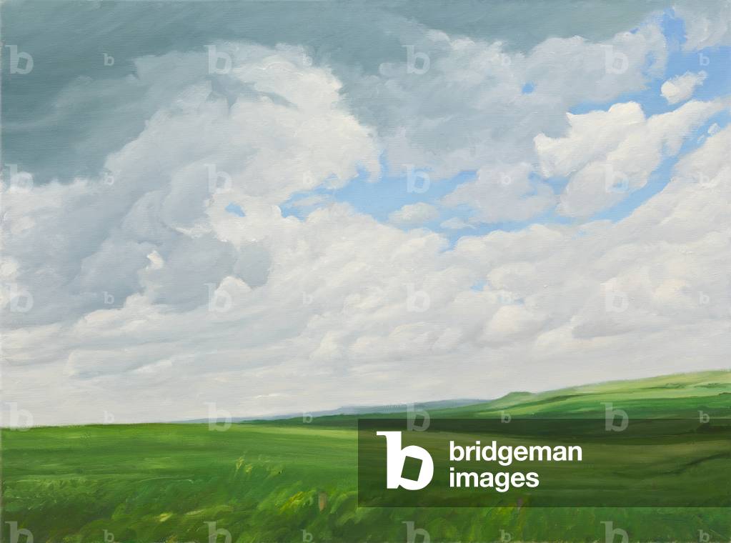 Bild von Gemälde "Felder und Wolken", 2010 von Peter Breeden