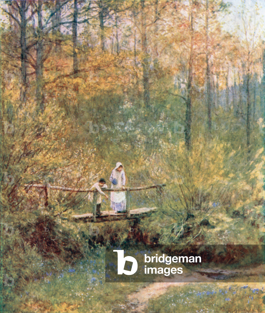 Tig Bridge (Farblitho)