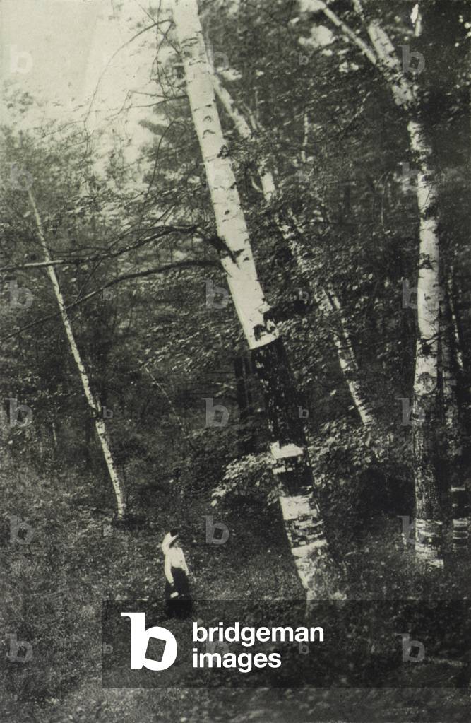 Toronto: A Glimpse of High Park Ravine (b/w photo)