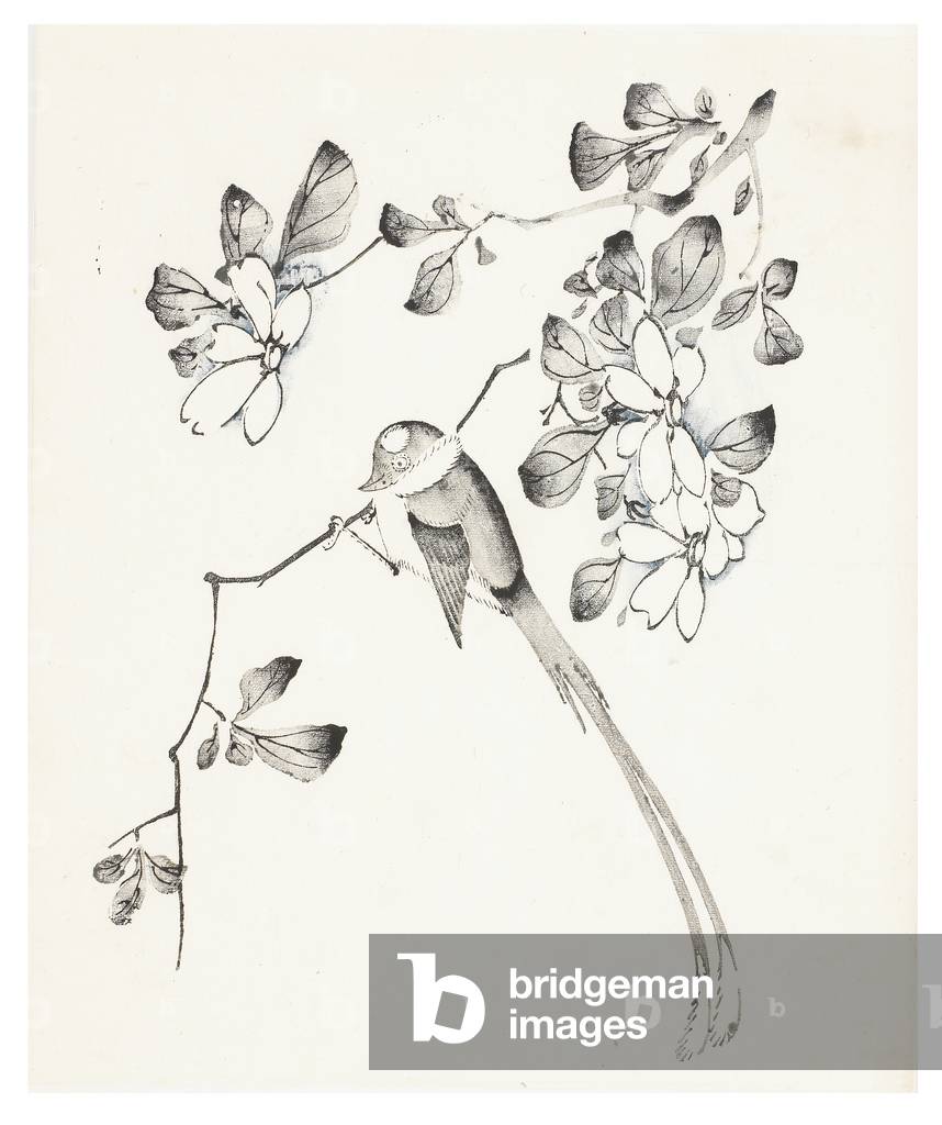Zehn Bamboo Series, 18. Jahrhundert (Print)