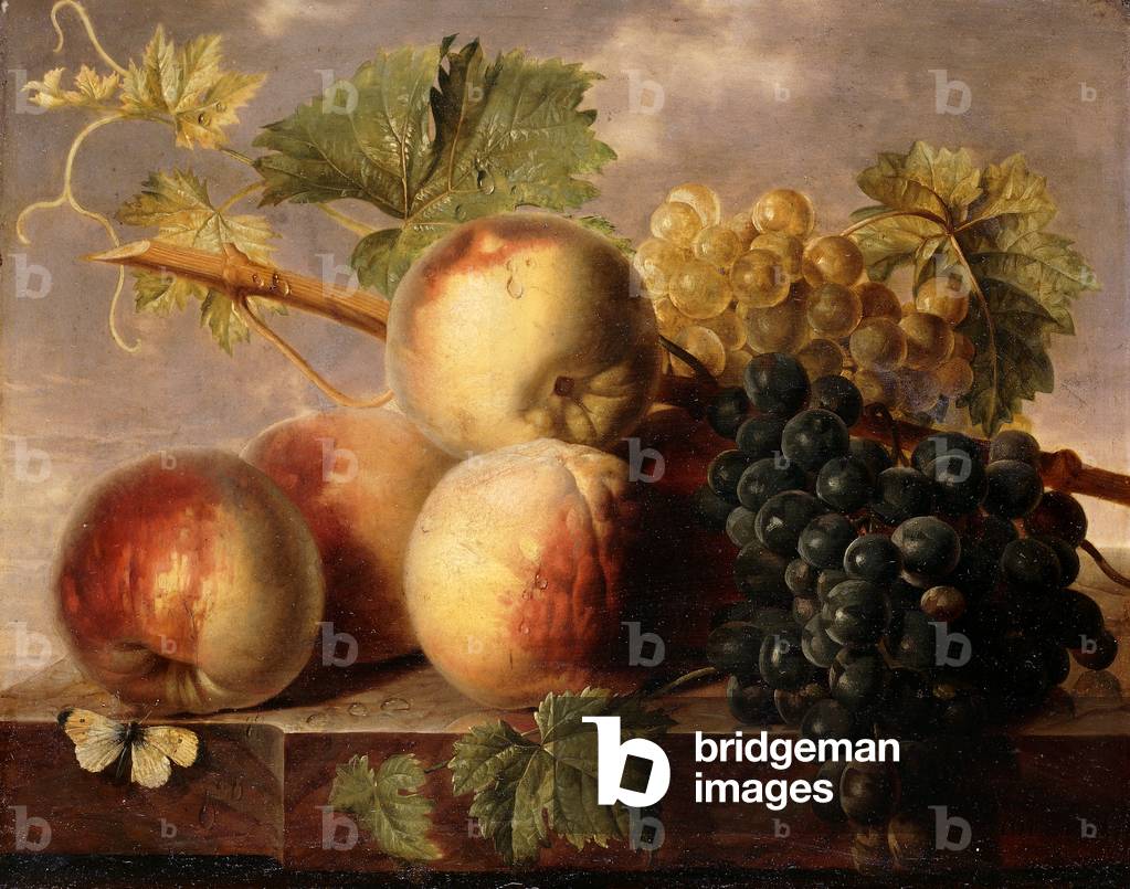 "Pesche e uva con un cavolo bianca su un marmo sporgenza" di Jan Frans van Dael, b/w