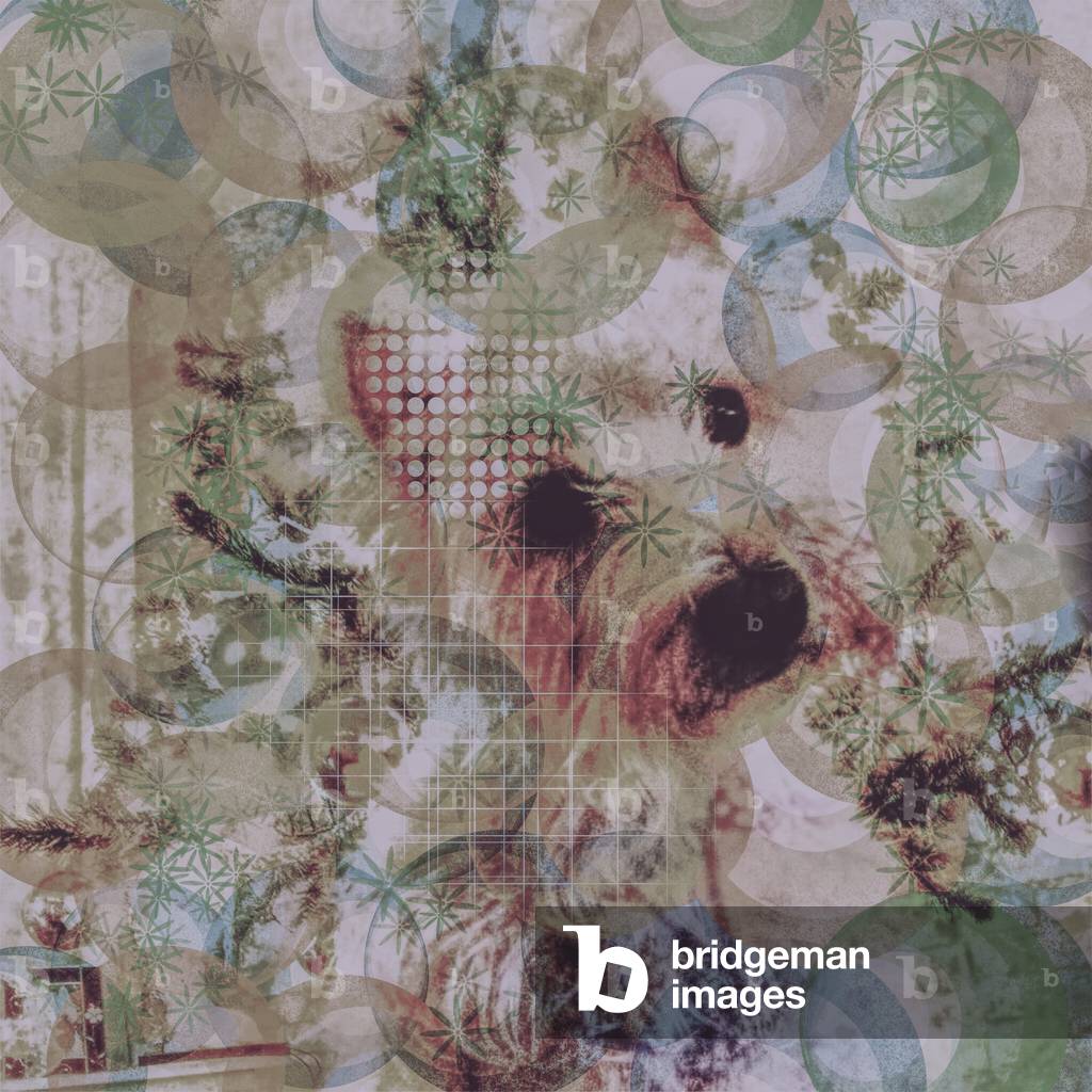 Il cane più dolce, 2017 (collage a tecnica mista)