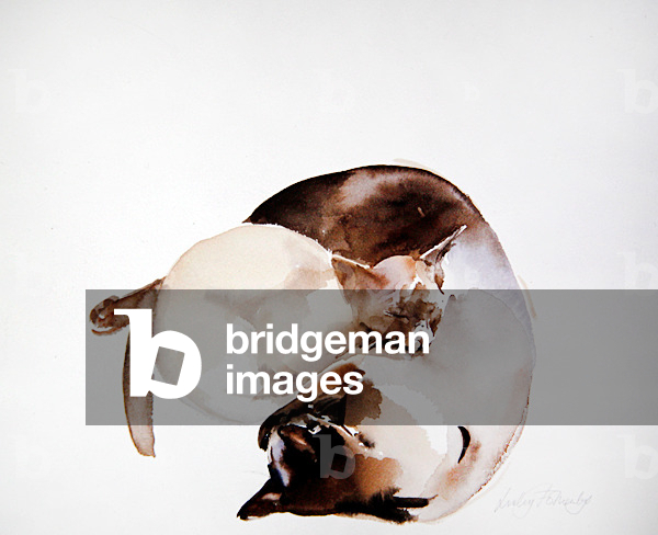 Coco schläft mit Solti (w/c auf Papier)