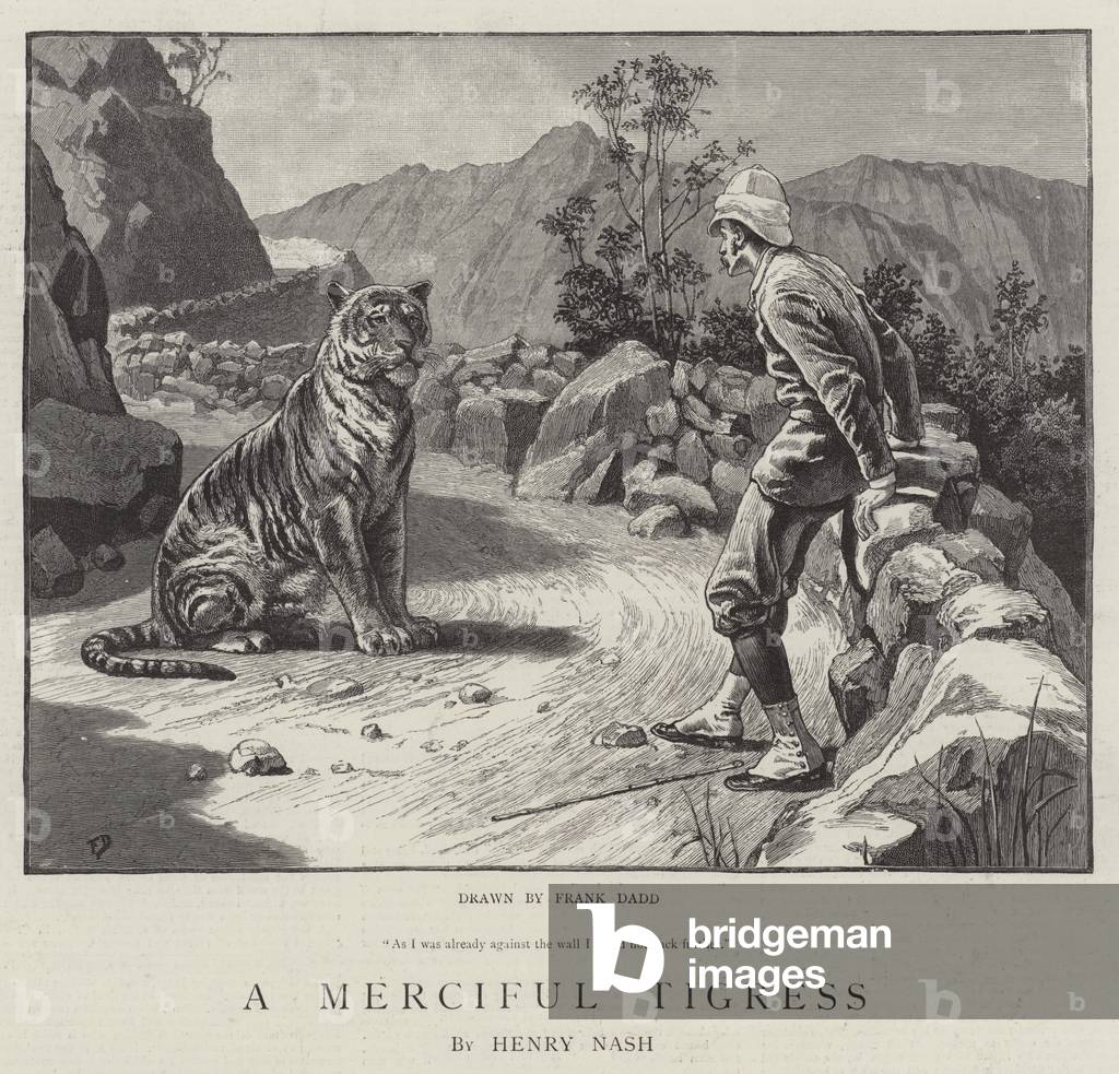 Eine Barmherzige Tigerin (Gravur)