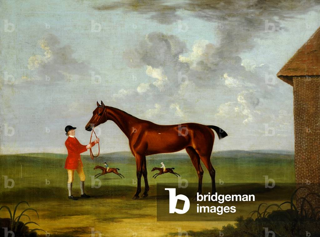 Ein Bay Horse namens “Fleacatcher”