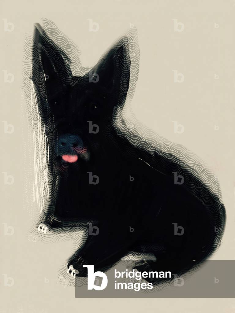 "La collezione Clever Dog" 2019 di RKO