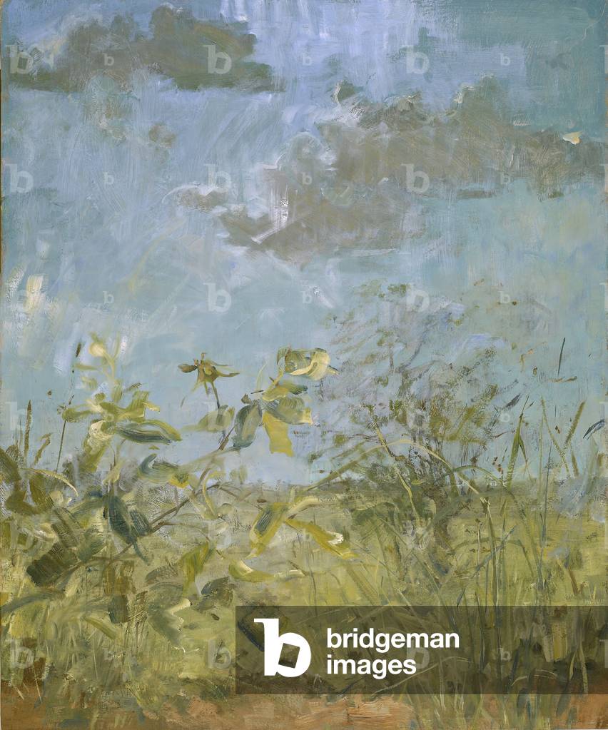 Image of Painting depicting Dog Rose in Meadow, 2005 by Emily Patrick